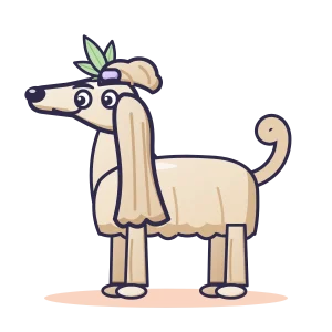 Afghani illustration