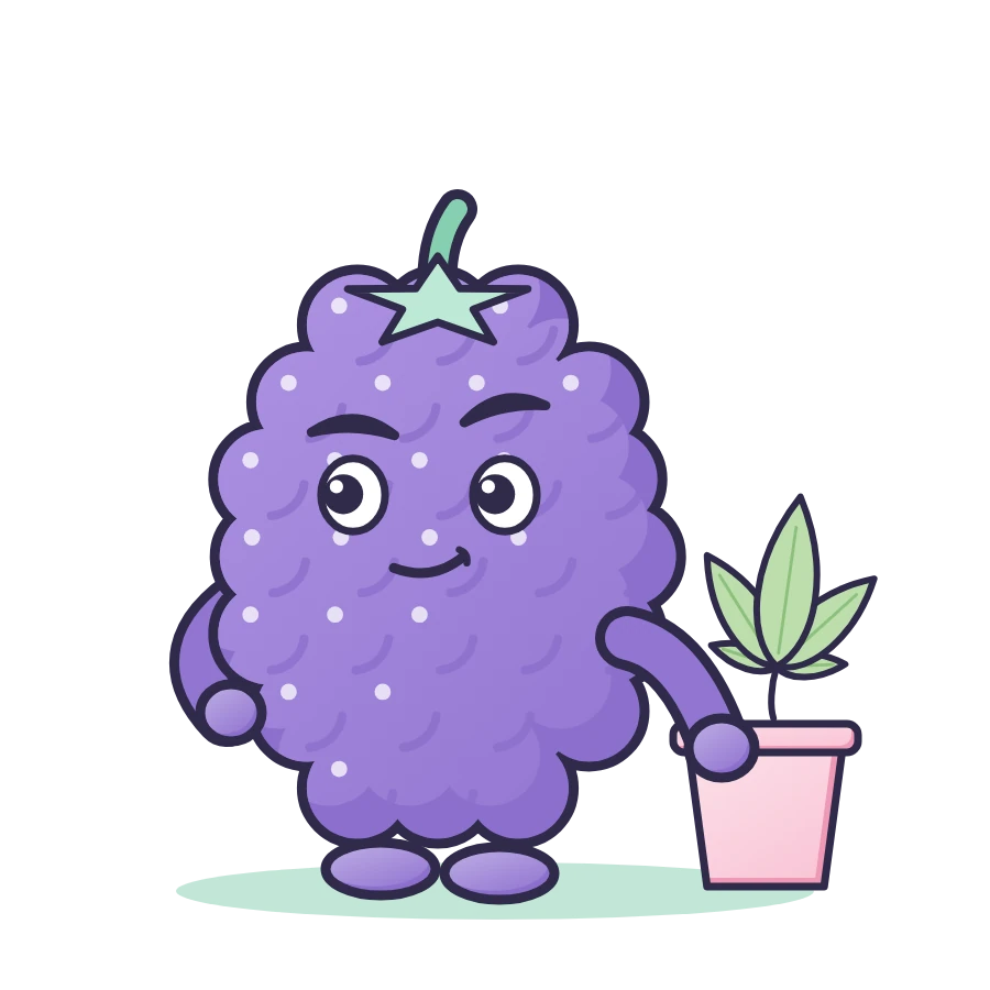 Blackberry Kush illustration