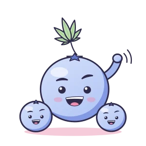 Blueberry illustration