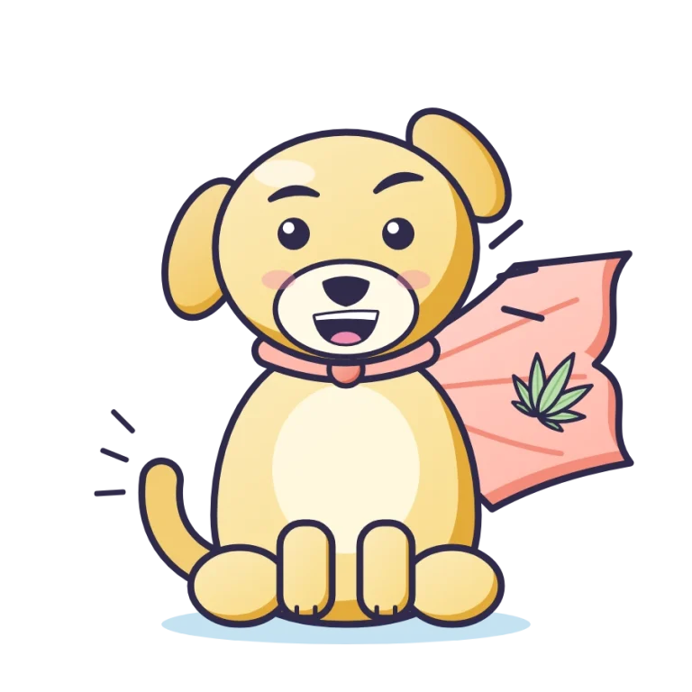 Super Boof illustration